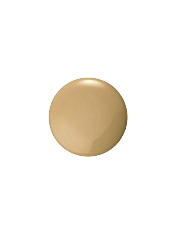 Foundation Excellent Skin
