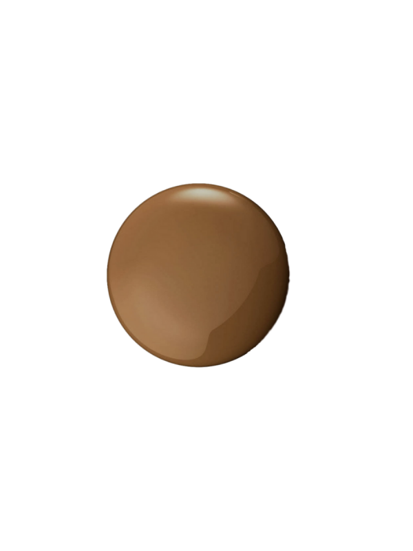 Foundation Excellent Skin