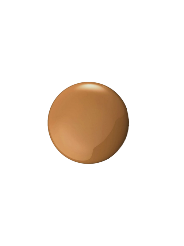 Foundation Excellent Skin
