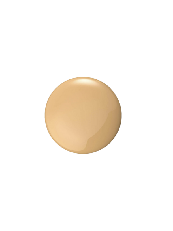 Foundation Excellent Skin